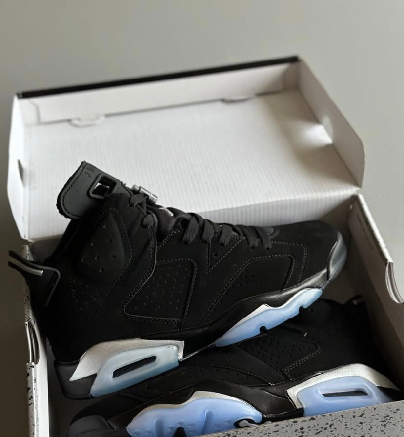 Air Jordan Retro 6 Silver