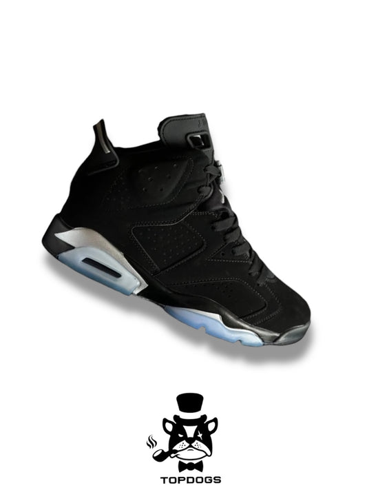 Air Jordan Retro 6 Silver